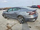 2019 Nissan Maxima Серый vin: 1N4AA6AV7KC381495