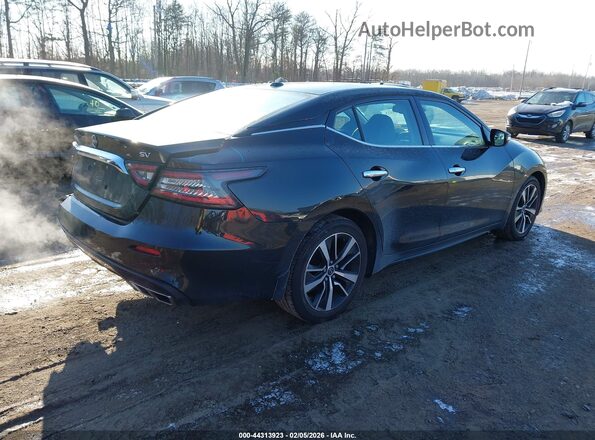 1N4AA6CV1PC501330 2023 NISSAN MAXIMA Черный Задняя правая четверть