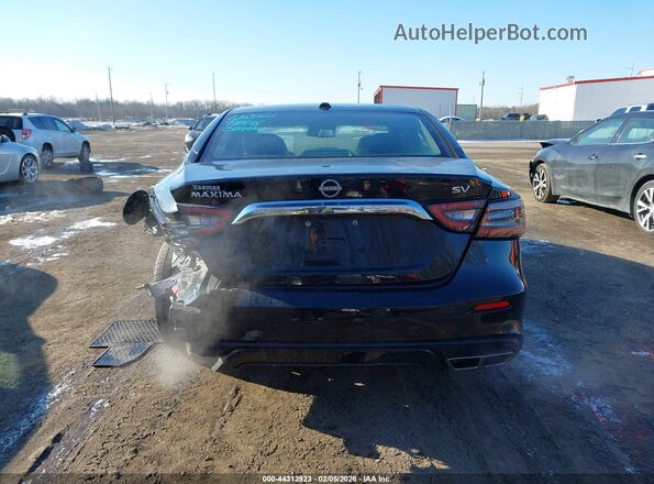 1N4AA6CV1PC501330 2023 NISSAN MAXIMA Черный 