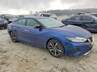 2023 Nissan Maxima Sv Синий vin: 1N4AA6CV3PC510613