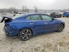 2023 Nissan Maxima Sv Синий vin: 1N4AA6CV3PC510613