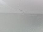 2020 Nissan Maxima Sr Белый vin: 1N4AA6EV0LC374643 Damage: Right Front Door, Chipped, 2