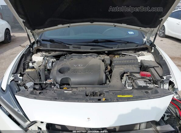 1N4AA6EV2PC508185 2023 NISSAN MAXIMA SR Белый Вид сзади