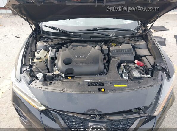 1N4AA6EV9PC501704 2023 NISSAN MAXIMA SR Черный Вид сзади