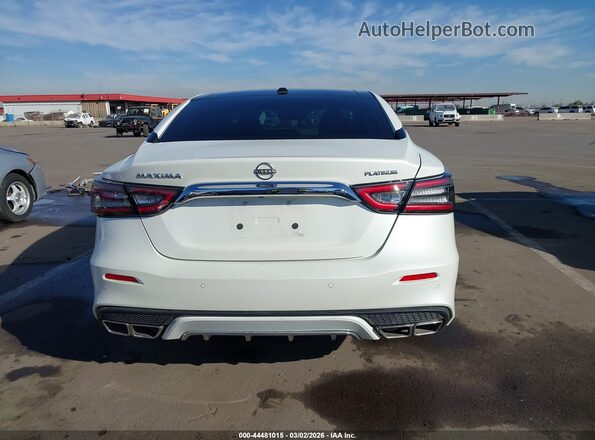 1N4AA6FV1PC505843 2023 NISSAN MAXIMA PLATINUM Белый 