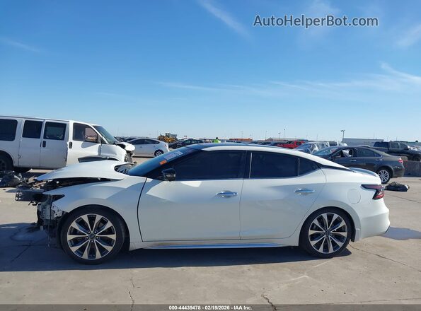 1N4AA6FV4PC511068 2023 NISSAN MAXIMA PLATINUM Белый 