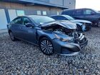 2026 Nissan Altima Sv Gray vin: 1N4BL4DV5TN305035