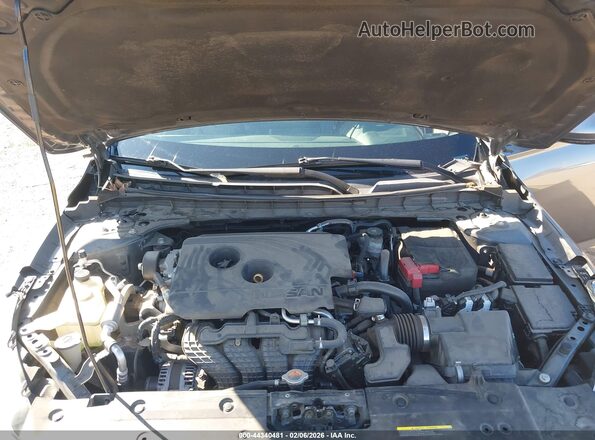 1N4BL4EV1KC203885 2019 NISSAN ALTIMA Серый Вид сзади