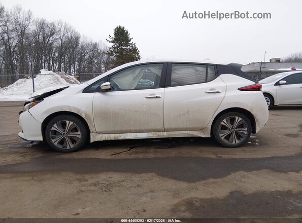 1N4BZ1DV3MC552645 2021 NISSAN LEAF Белый 