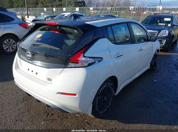 1N4CZ1CV7SC566647 2025 NISSAN LEAF Белый Задняя правая четверть