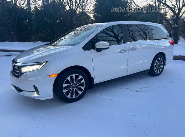 5FNRL6H71NB023976 2022 HONDA ODYSSEY White უკანა მარჯვენა