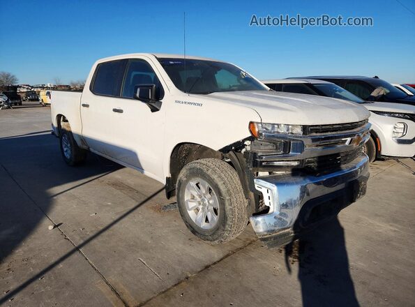 2GCPAAED7P1148559 2023 CHEVROLET SILVERADO Белый Вид спереди
