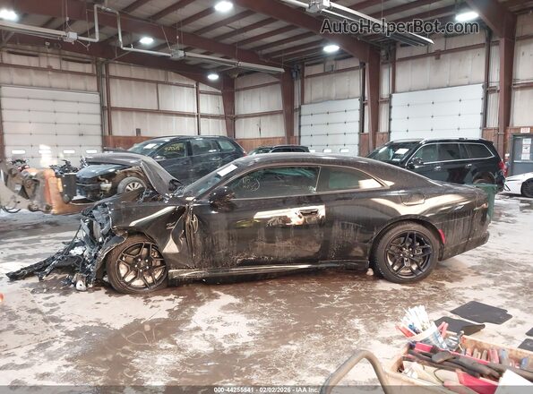 2C3CDBCK3RR208861 2024 DODGE CHARGER Черный Панорамный вид салона 360°