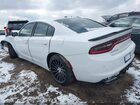2019 Dodge Charger Sxt Rwd Белый vin: 2C3CDXBG6KH636588