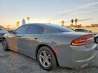 2019 Dodge Charger Sxt Gray vin: 2C3CDXBG6KH643878