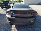 2019 Dodge Charger Sxt Gray vin: 2C3CDXBG9KH655068