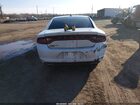 2020 Dodge Charger Sxt Rwd Белый vin: 2C3CDXBG9LH119397