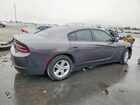 2019 Dodge Charger Sxt Gray vin: 2C3CDXBGXKH707646