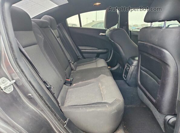 2C3CDXBGXKH707646 2019 DODGE CHARGER Gray უკანა სავარძლების ხედი