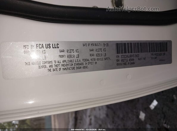 2C3CDXGJ6KH519422 2019 DODGE CHARGER White Widok komory silnika