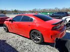 2019 Dodge Charger Scat Pack Красный vin: 2C3CDXGJ7KH506114