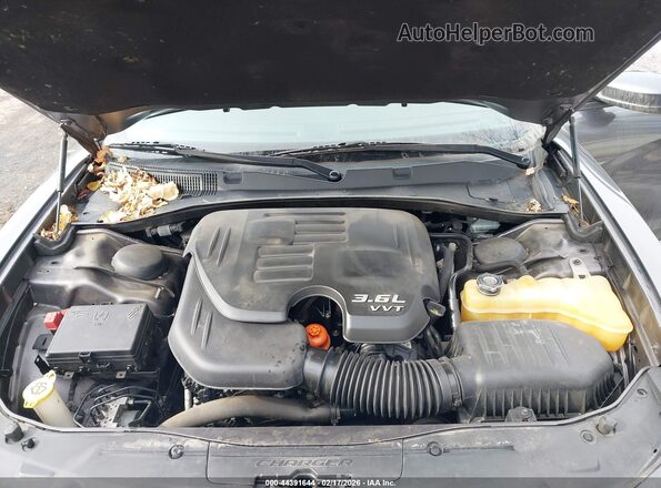 2C3CDXJG1GH229299 2016 DODGE CHARGER Серый Вид сзади