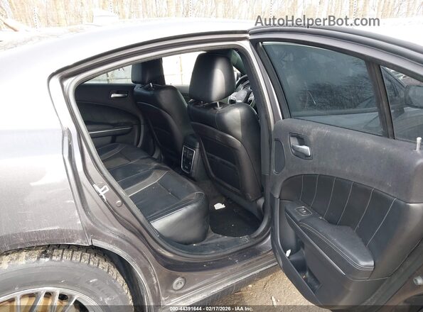 2C3CDXJG1GH229299 2016 DODGE CHARGER Серый Вид наклейки с VIN-кодом
