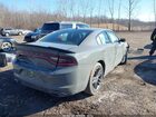 2019 Dodge Charger Sxt Awd Серый vin: 2C3CDXJG1KH673789 2019 Dodge Charger Sxt Awd Серый vin: 2C3CDXJG1KH673789