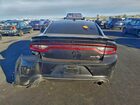 2019 Dodge Charger Srt Hellcat Black vin: 2C3CDXL90KH609077