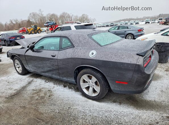 2C3CDZAG1PH553459 2023 DODGE CHALLENGER Серый Задняя левая четверть