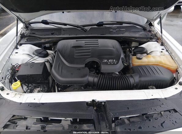 2C3CDZAG8GH210129 2016 DODGE CHALLENGER Белый Вид сзади