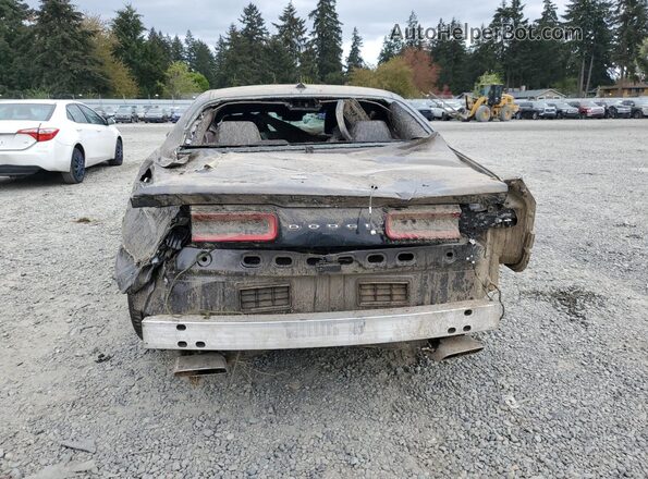 2C3CDZFJ9GH149099 2016 DODGE CHALLENGER Серый Вид сзади