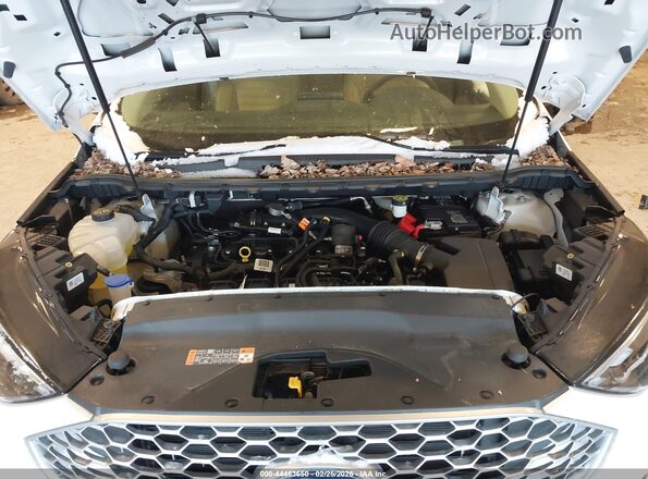 2FMPK4J93RBB13154 2024 FORD EDGE Белый Вид сзади