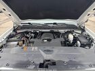 2019 Chevrolet Silverado 1500 Ld Wt White vin: 2GCRCNEC2K1114555
