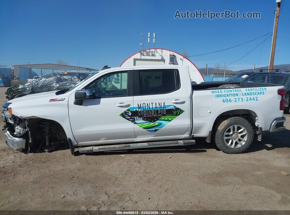 2GCUDDED4P1155318 2023 CHEVROLET SILVERADO Белый 