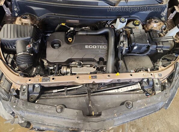2GNAXUEV0K6164765 2019 CHEVROLET EQUINOX Коричневый Вид задней части салона