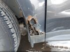 2016 Chevrolet Equinox Lt Серый vin: 2GNFLFEK5G6158549
