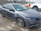 2019 Honda Civic Lx Gray vin: 2HGFC2F67KH595731 2019 Honda Civic Lx Gray vin: 2HGFC2F67KH595731