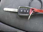 2019 Honda Civic Lx Green vin: 2HGFC4B69KH306799