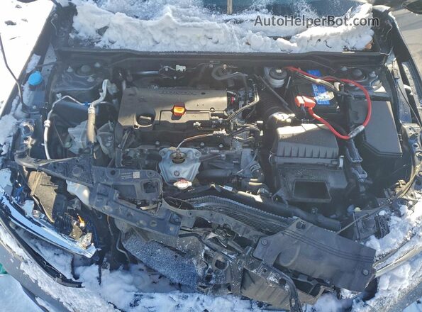 2HGFE2F51PH531449 2023 HONDA CIVIC Серый Вид задней части салона