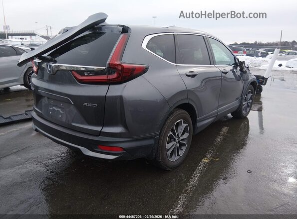 2HKRW2H84LH689804 2020 HONDA CR-V Gray Tył prawy