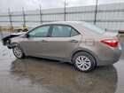2019 Toyota Corolla L Brown vin: 2T1BURHE2KC149939