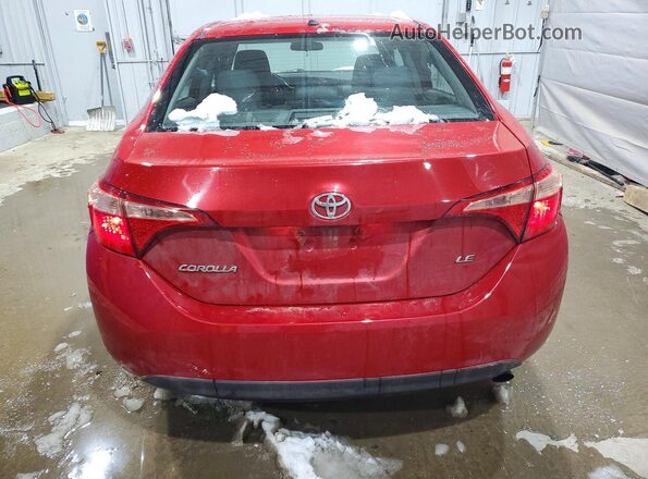 2T1BURHE7KC194388 2019 TOYOTA LL Red Widok z tyłu