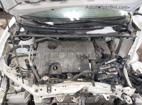 2T1BURHE8JC036544 2018 TOYOTA LL Белый Вид сзади