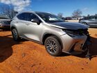 2025 Lexus Nx 250 Base Silver vin: 2T2ADCAZ0SC024472