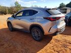 2025 Lexus Nx 250 Base Silver vin: 2T2ADCAZ0SC024472