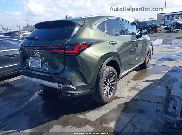 2T2ADCAZ4SC026046 2025 LEXUS NX 250 Green Задня права чверть