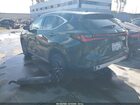 2025 Lexus Nx 250   Green vin: 2T2ADCAZ4SC026046