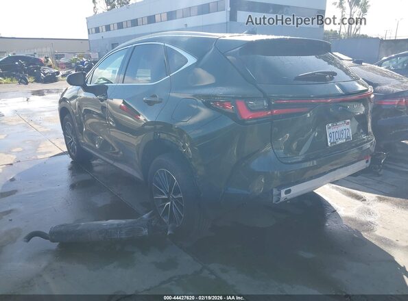 2T2ADCAZ4SC026046 2025 LEXUS NX 250 Green Задня ліва чверть