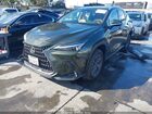 2025 Lexus Nx 250   Green vin: 2T2ADCAZ4SC026046